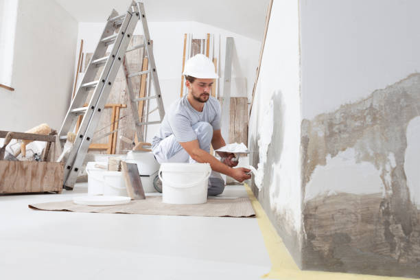 Best Mold Removal for HVAC Installations  in Morton, MS