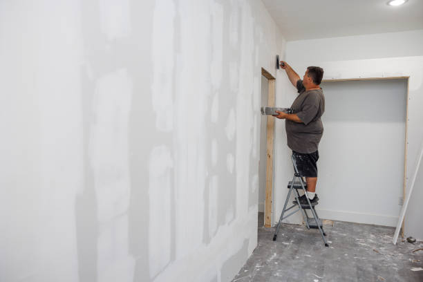 Best Emergency Mold Remediation  in Morton, MS
