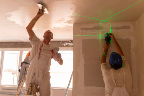 Best Water Damage & Mold Remediation  in Morton, MS