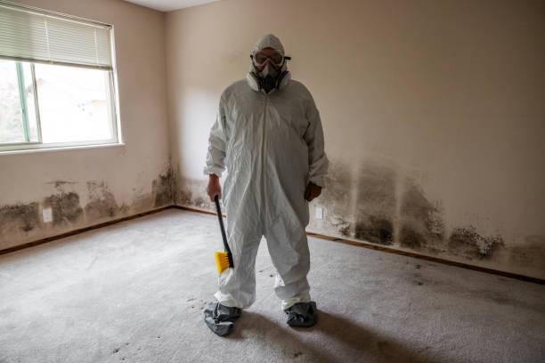 Mold Remediation for Vacation Homes in Morton, MS