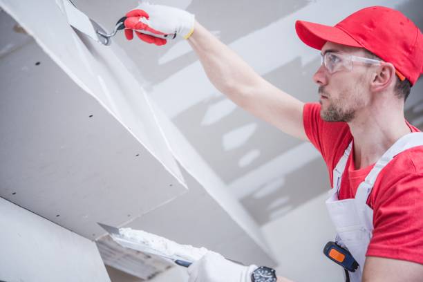 Best Mold Remediation for Healthcare Facilities  in Morton, MS